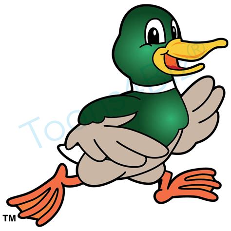 Pics Of Cartoon Ducks Clipart | Free download on ClipArtMag