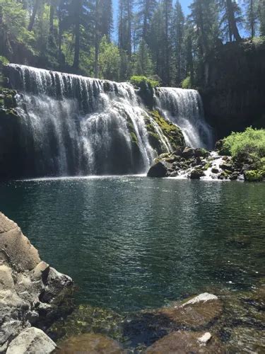 10 Best Hikes and Trails in Shasta-Trinity National Forest | AllTrails