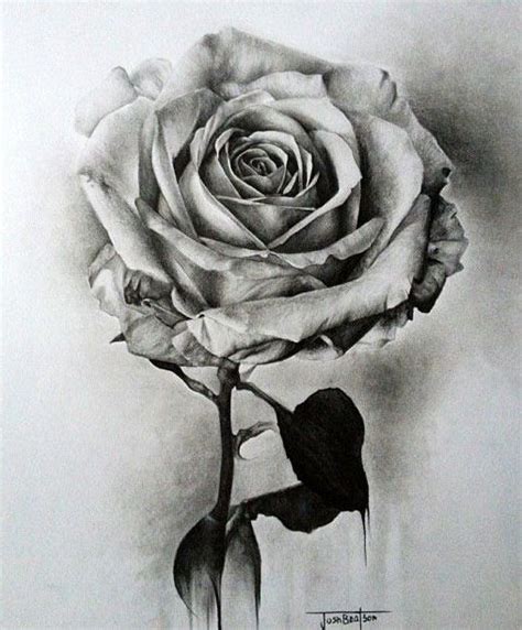 How To Draw A Realistic Rose With Pencil Step By Step