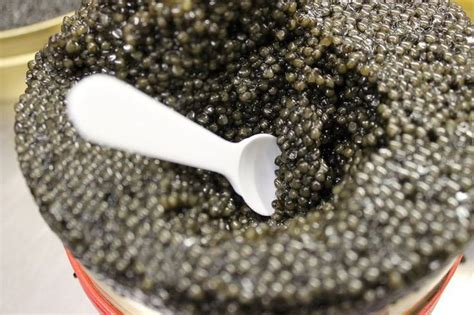 Best Caviar Delivery Services of 2021 | Best caviar, Caviar, Food