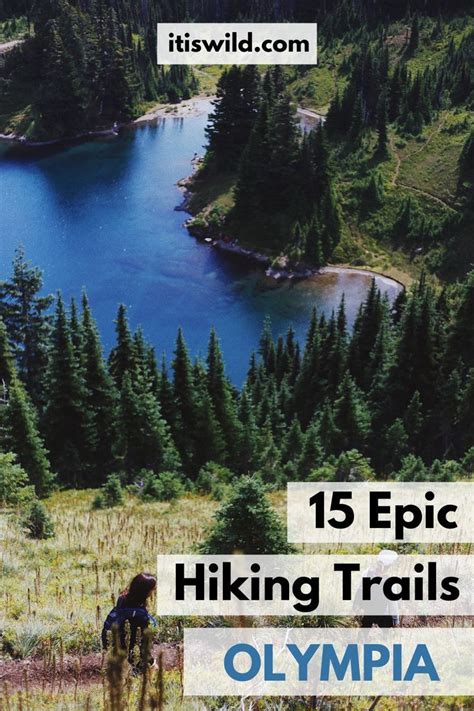 15 BEST Trails for Hiking and Running in Olympia, WA Sequim Washington, Olympia Washington ...