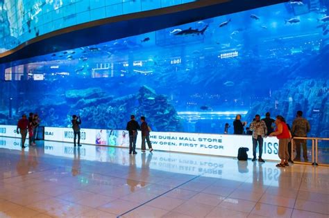 Premium Photo | Dubai Aquarium and Underwater Zoo