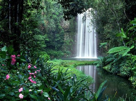 Landscapes garden rivers trees forest flowers wallpaper | 1600x1200 ...