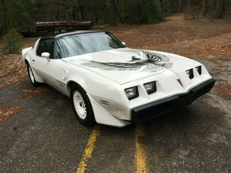 1981 Pontiac Trans Am Turbo NASCAR Pace car Recaro edition for sale ...