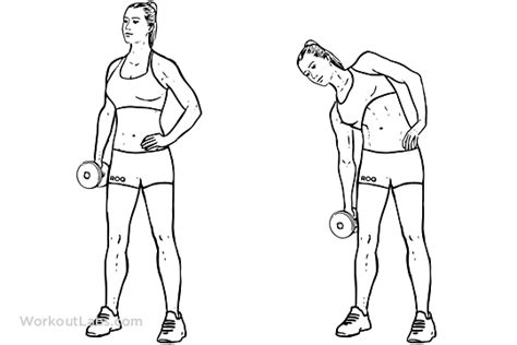 Dumbbell Side Bend | Illustrated Exercise guide - WorkoutLabs