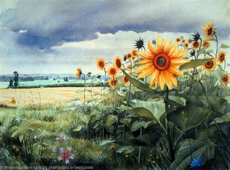 Sunflowers with gathering rain by Mark McLaughlin