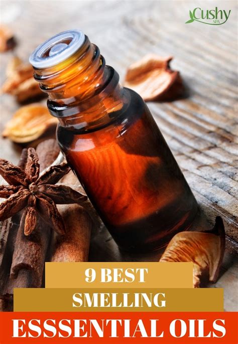 9 Best Smelling Essential Oils You Need To Use - Cushy Spa