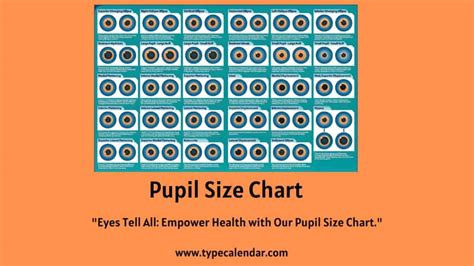 Free Printable Pupil Size Charts [PDF] & Actual Size, MM, Scale