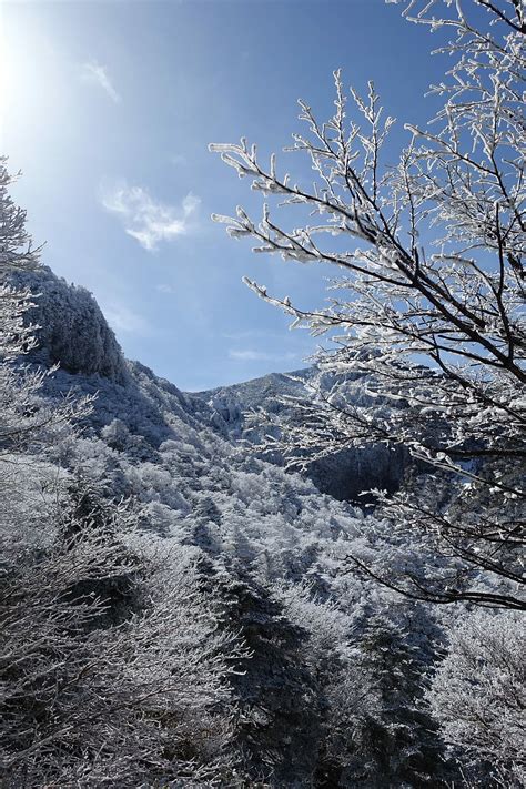 3200x900px | free download | HD wallpaper: Winter, Snow Mountain, Jeju ...