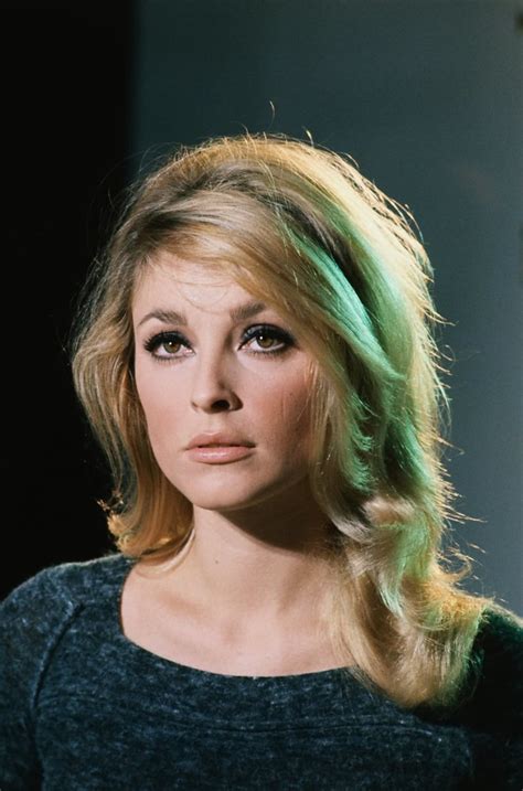 Sharon Tate (1965) | Lily Laurent | Flickr