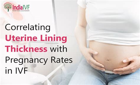 Correlating Uterine Lining Thickness with Pregnancy Rates in IVF - India IVF Fertility