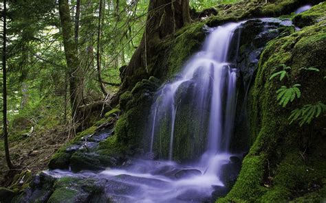 Beautiful Forest Waterfall Mac Wallpaper Download | AllMacWallpaper