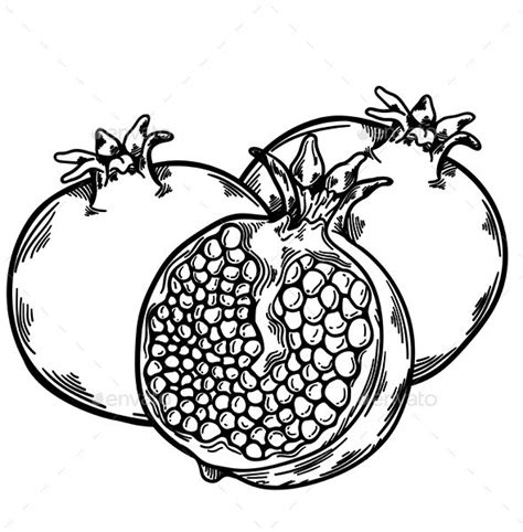 two pomegranates on a white background - food objects