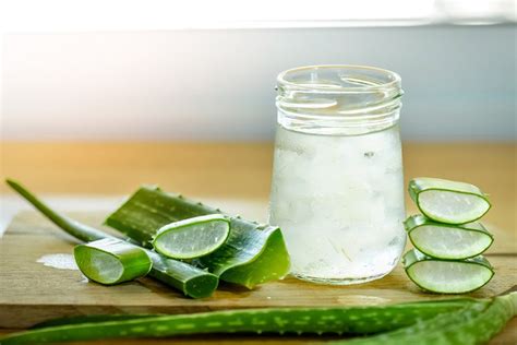 Aloe Vera Whole Leaf Gel 1lb to 32floz 100% Pure Natural - Etsy