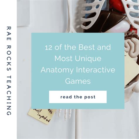 12 of the Best and Most Unique Anatomy Interactive Games - Rae Rocks ...