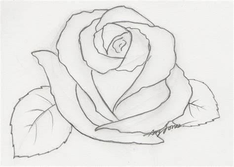 Rose Sketch Easy at PaintingValley.com | Explore collection of Rose Sketch Easy