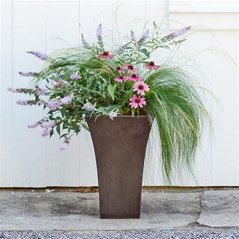 40 Best Ornamental Grasses For Containers (37) | Ornamental grasses, Best ornamental grasses ...