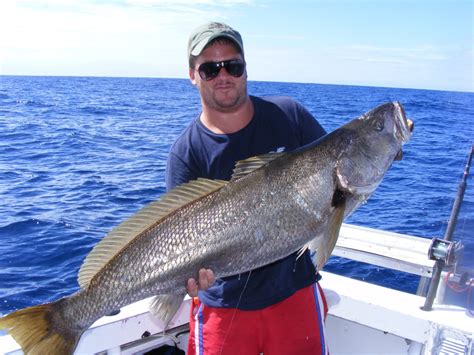 Tweed Heads Fishing Charters | Deep Sea Fishing | Reef and Game