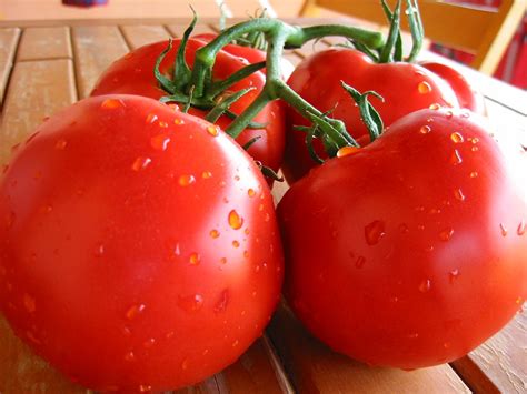 Fresh Tomatoes 3 Free Photo Download | FreeImages