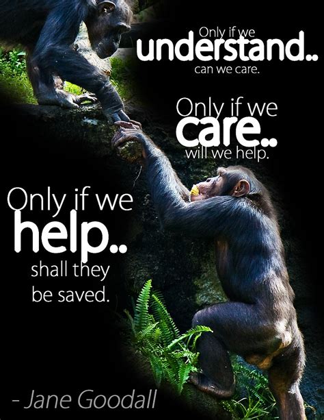 Jane Goodall Quote | One of my favorite Jane Goodall quotes.… | Flickr