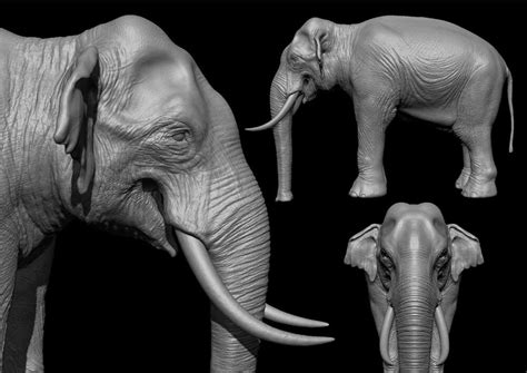 Royal Elephant - ZBrushCentral