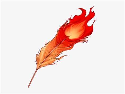 A Feather Of The Phoenix - Phoenix Feather - Free Transparent PNG Download - PNGkey