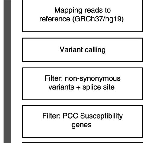 Bioinformatics pipeline for analysis of exome sequencing in the... | Download Scientific Diagram