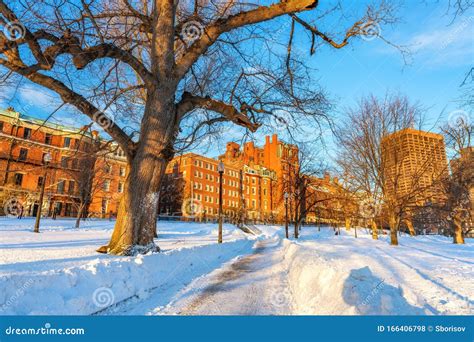 Boston common at winter stock photo. Image of sightseeing - 166406798