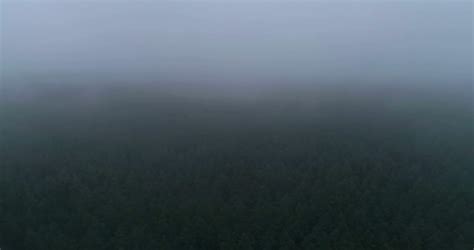 Flying over landscape of dense forest covered with fog Stock Video Footage 00:19 SBV-320846060 ...