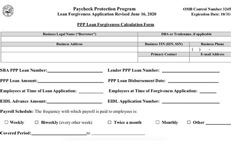 PPP Loan Forgiveness - Everything You Need to Know - BNC Tax