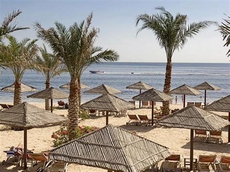 Miramar Al Aqah Beach Resort, Fujairah | 2021 Updated Prices, Deals