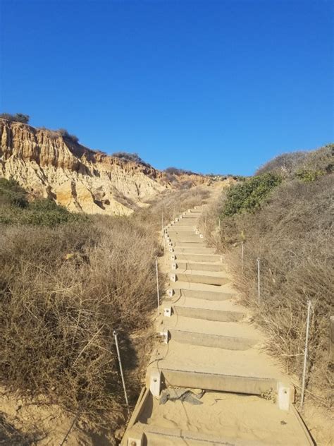 San Diego Hikes: Torrey Pines Beach Trail - Fun Diego Family