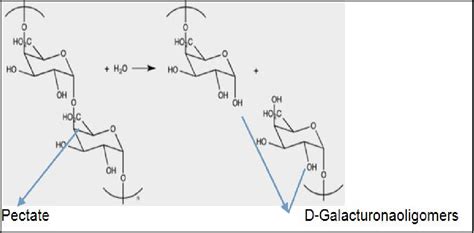 Figure 2 from A Review on Production of Polygalacturonase Using Various Organisms and Its ...