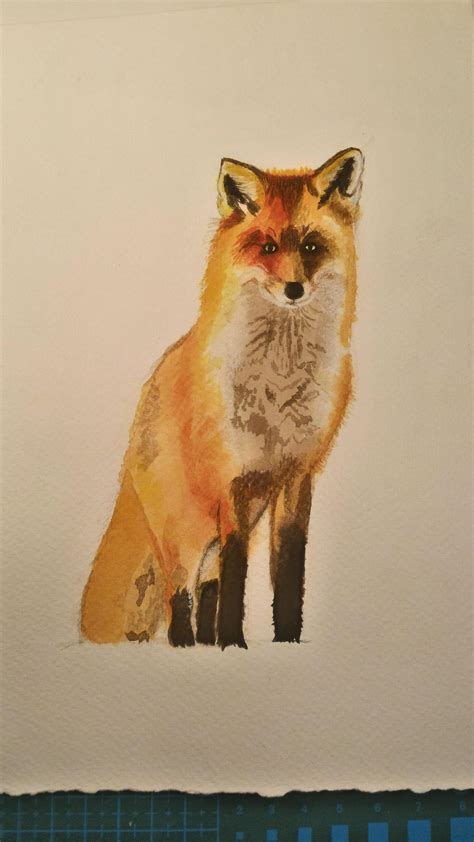 My watercolor fox painting :) : r/Watercolor