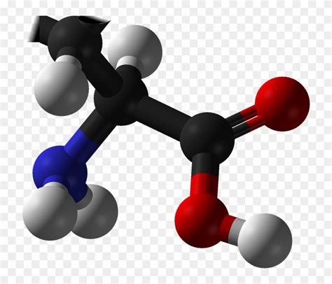 Amino Acids And Weight Loss - Amino Acids, HD Png Download - 728x640(#1451834) - PngFind