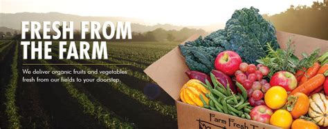 KRUSING AMERICA: Friday Foodie: Farm Fresh to You – Organic Produce delivered to your door!