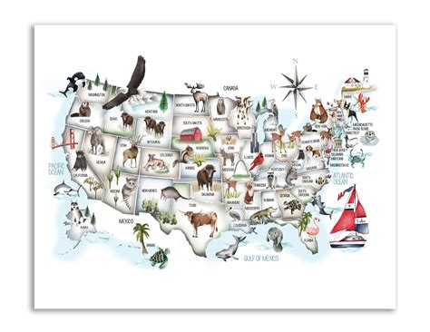 USA Animal Map Kids United States Map Nursery Map Print - Etsy