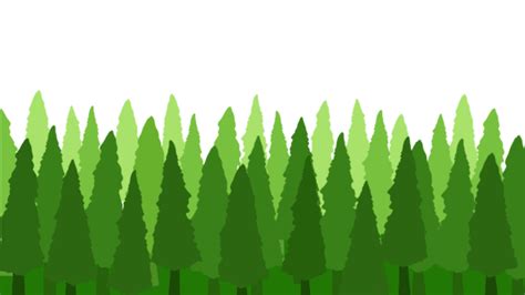 Green Pine Tree Forest, Pine, Tree, Green PNG Transparent Image and ...