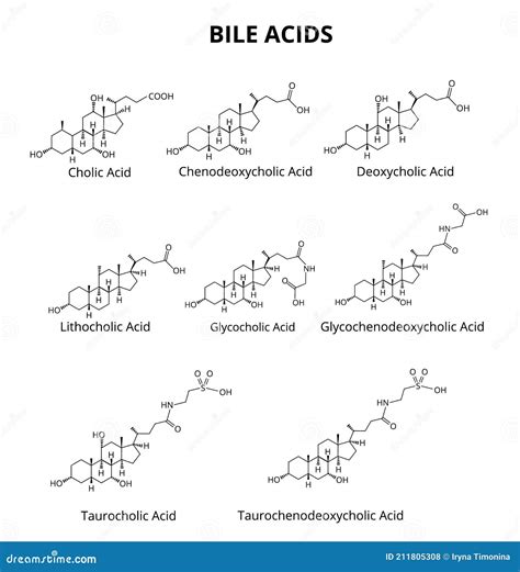 Bile Acids Set. Chemical Molecular Formula of Bile Acids Stock Vector - Illustration of vector ...