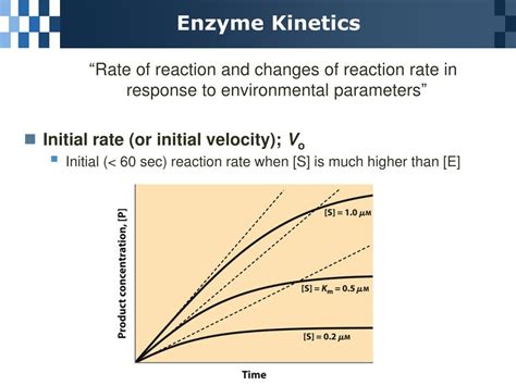 Enzyme Kinetics