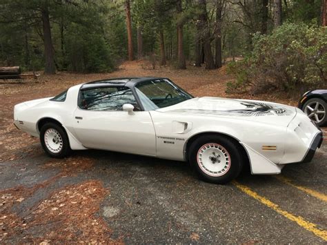 1981 Trans Am Turbo NASCAR pace car Recaro edition for sale: photos ...