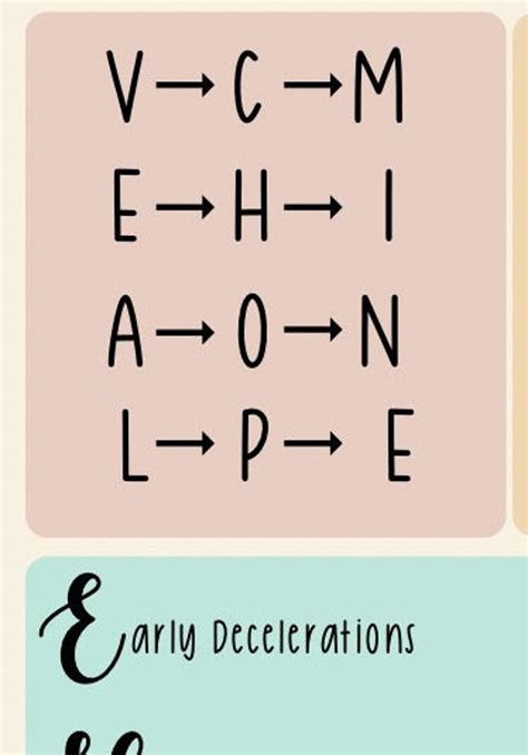 VEAL CHOP MINE: Explained Nursing School Notes - Etsy