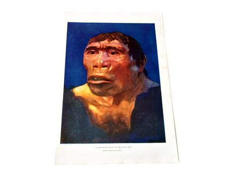 Caveman Picture A Reconstruction of Java Man Prehistoric Color - Etsy ...