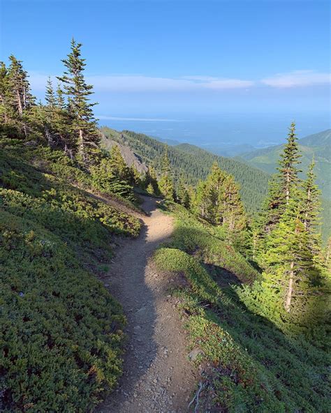 Mt Townsend, Olympic Mountains : hiking