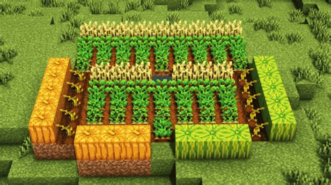 Ultimate Minecraft Crop Farming Guide (1.19) Complete Guide