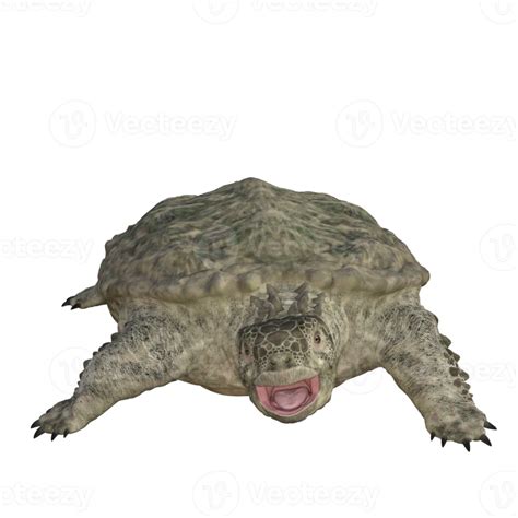 Proganochelys isolated 3D render 20037943 PNG