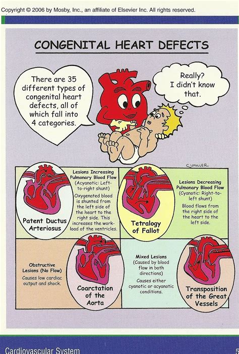 congenital heart defects | Neonatal nurse, Pediatric nursing, Nursing school survival