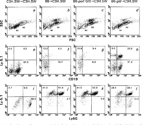 Figure 1 from Graft-versus-host-disease-associated lymphoid hypoplasia and B cell dysfunction is ...