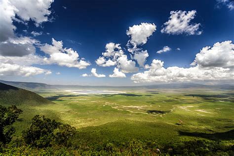 Ngorongoro Crater Stock Photos, Pictures & Royalty-Free Images - iStock
