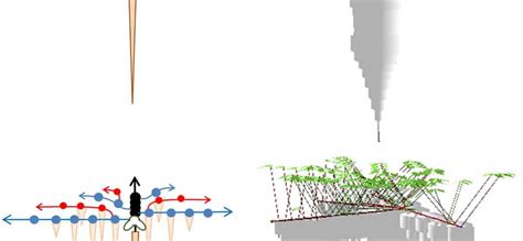 Call for Papers: Plant growth modelling and applications to agro ...